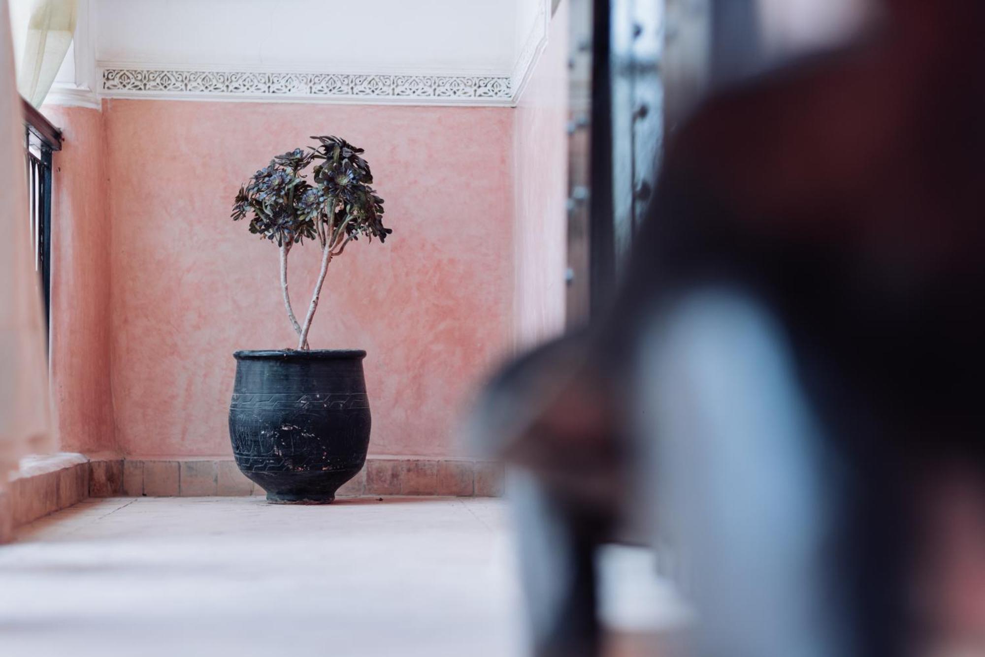 Riad Davina Marakéš Exteriér fotografie